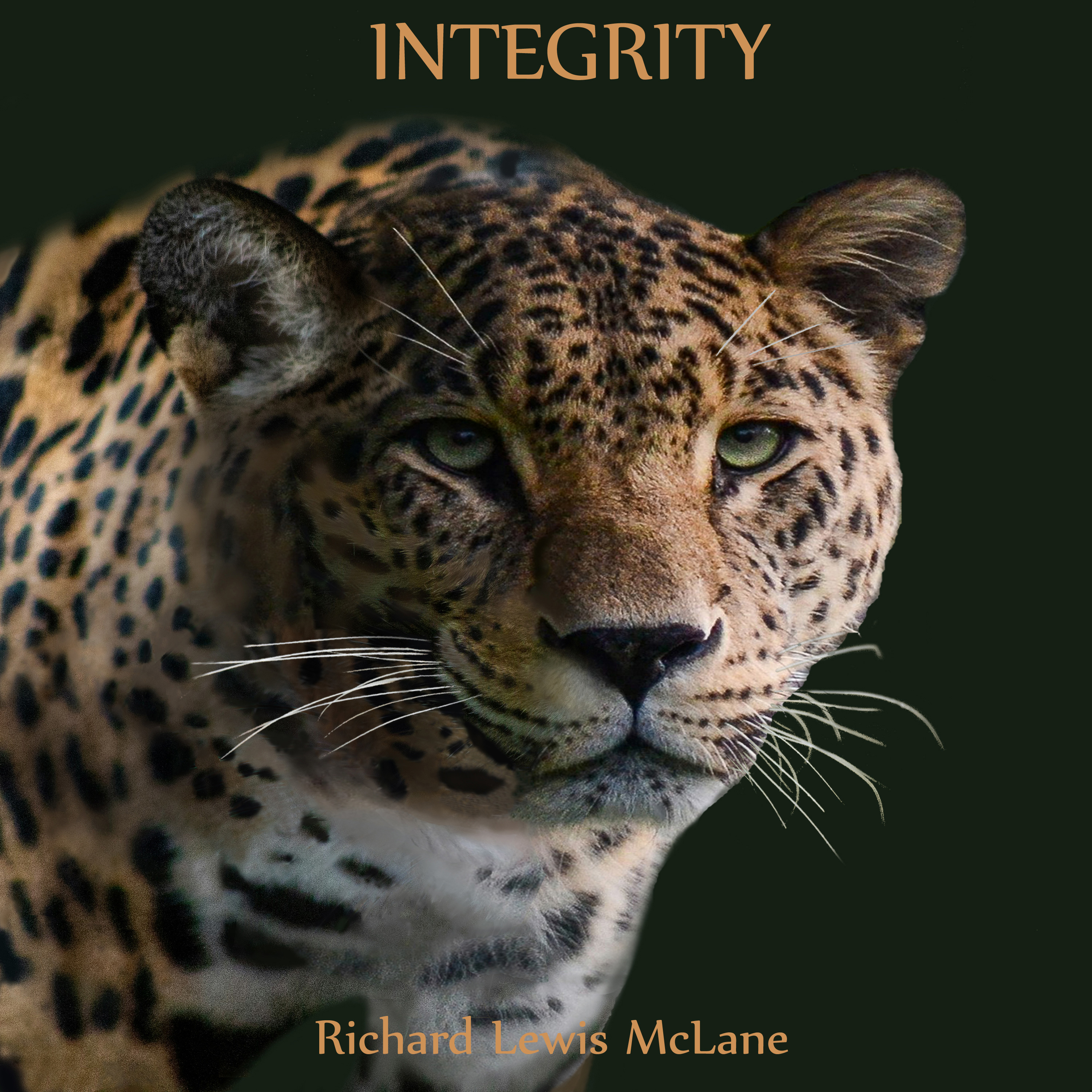Integrity CD Cover